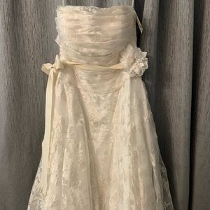 David’s Bridal Galina Wedding Dress